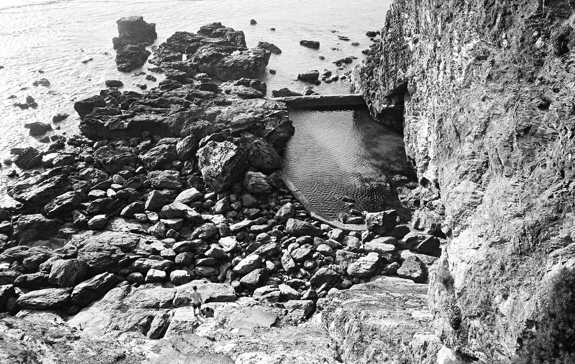 A top-down view of the rock pool